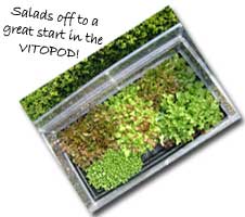 Salad in Vitopod