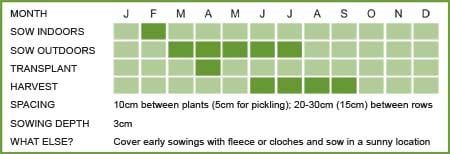 Beetroot Matrix