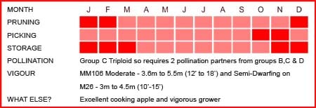 Bramley Matrix