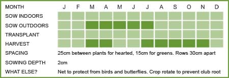 Cabbage Advantage Matrix