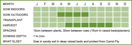Carrot Early Maincrop Matrix