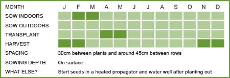 Celeriac Matrix