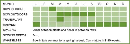 Chard Matrix