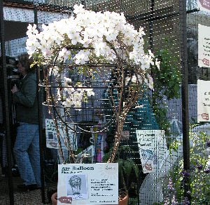 RHS Chelsea Flower Show 3