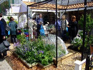 RHS Chelsea Flower Show 3