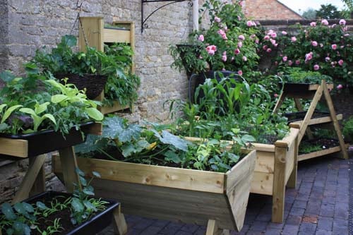 Courtyard Garden