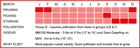 Egremont Russet Matrix