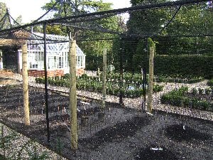 Feb06 4