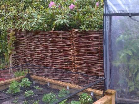 hazel hurdlehazel hurdle