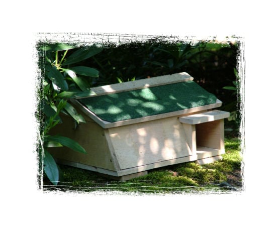 Hedgehog House