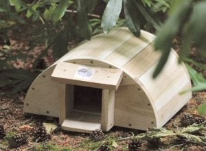 Hedgehog House