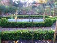 New Trees Kitchen Garden