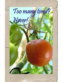 Kitchen Garden Tomatoes