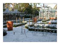 Kitchen Garden Snow