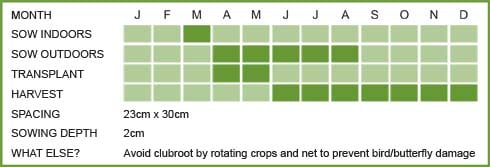 Kohlrabi Matrix