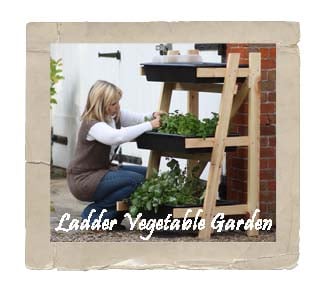 Ladder Vegetable Garden
