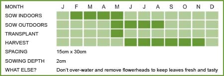 Marjoram Matrix