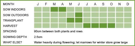 Marrow Matrix