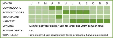 Mizuna Matrix Mizuna Matrix