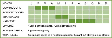 Peppers Matrix