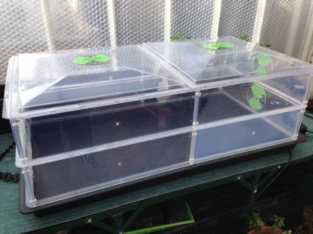 heated propagator