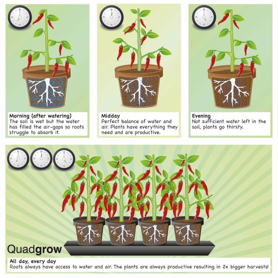 Quadgrow