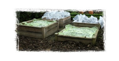 Raised Beds