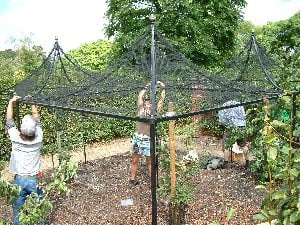 Rhswisley2