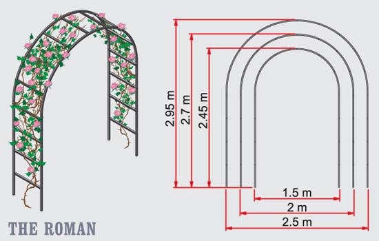 Roman Shape Size