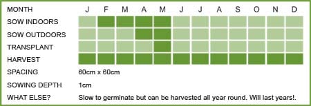 Rosemary Matrix