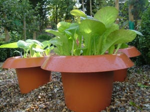 Smart Slug Pots