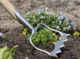 Royal Dutch Hoe
