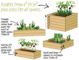 Standard Raised Beds Graphic