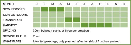 Tomato Matrix