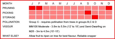 Worcester Pearmain Matrix