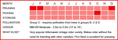 Yarlington Mill Matrix