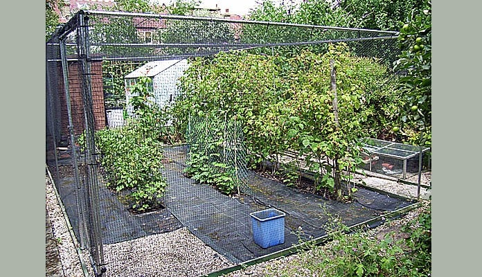 5.7 x 3.5m Bespoke Aluminium Fruit Cage, Mr Emms - London