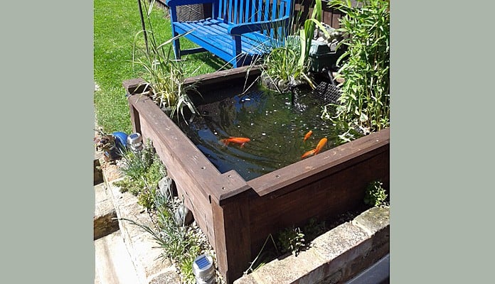 4ft x 4ft Raised Bed Pond, Ms Adams, Hertfordshire