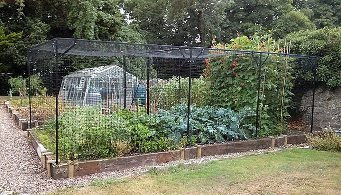6.45 x 3.35m Bespoke Steel Fruit Cage with Deer Netting, Mr Bates - Somerset