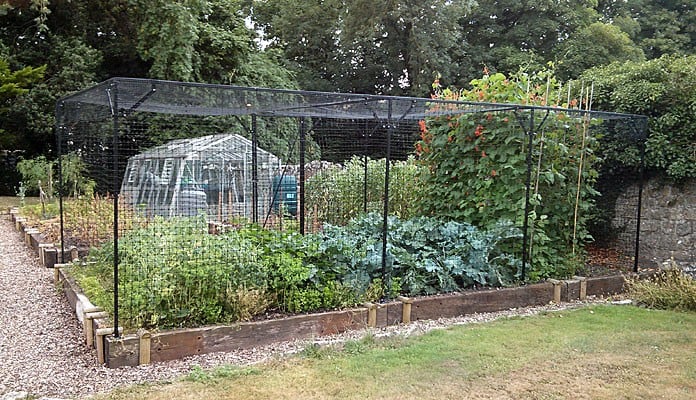 6.45 x 3.35m Bespoke Steel Fruit Cage with Deer Netting, Mr Bates - Somerset 6.45 x 3.35m Bespoke Steel Fruit Cage with Deer Netting, Mr Bates - Somerset