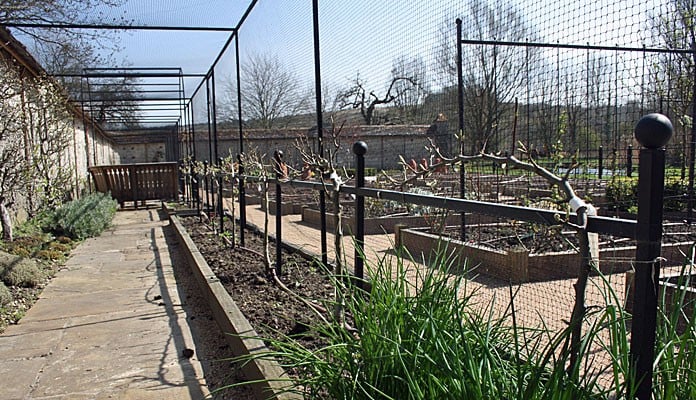 Fruit Cage Complete 3 Fruit Cage Complete 3