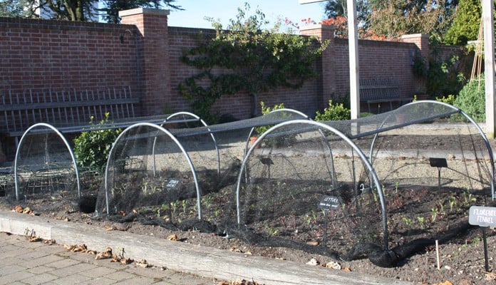 Medium Garden Netting Hoop, Chewton Glen Kitchen Garden Medium Garden Netting Hoop, Chewton Glen Kitchen Garden