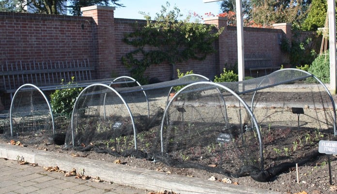 Medium Garden Netting Hoop, Chewton Glen Kitchen Garden