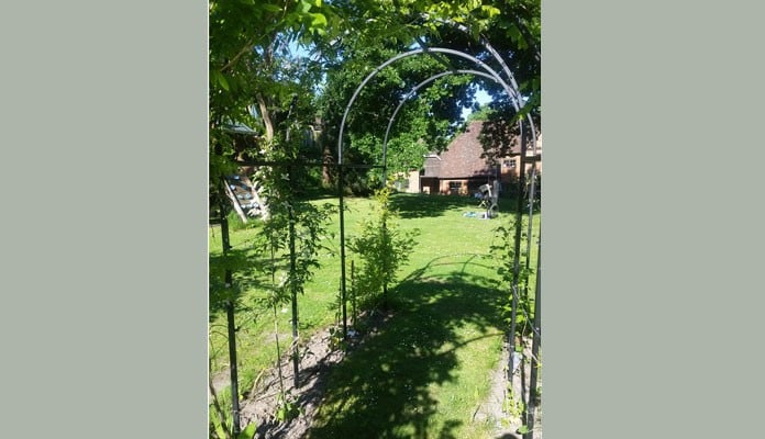 Roman Arches Linked & Curved, Looking Through 2