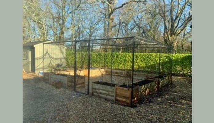 5m x 5m Peak Roof Decorative Fruit Cage 5m x 5m Peak Roof Decorative Fruit Cage