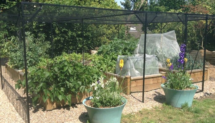 4ft x 8ft Superior Raised Beds, Mrs Roberts - Buckinghamshire