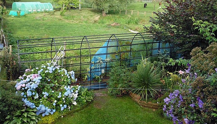 1.5m W x 7.65m L Gothic Pergola, Mrs John - Shrophsire