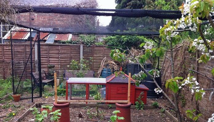 3.5m x 3.5m Steel Poultry Cage, Ms C, Suffolk