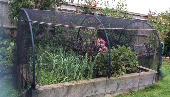Soft Butterfly Netting, Miss Wright - East Sussex Soft Butterfly Netting, Miss Wright - East Sussex