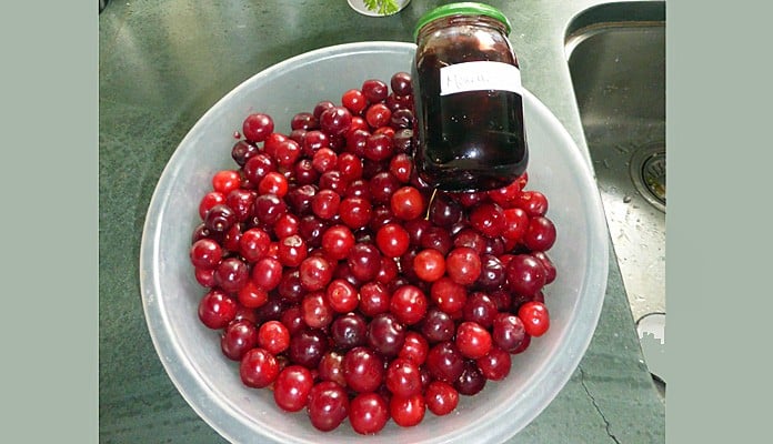 Morello Cherries and Jam from Dome Cage, Mr and Mrs Redpath - Middlesex  
